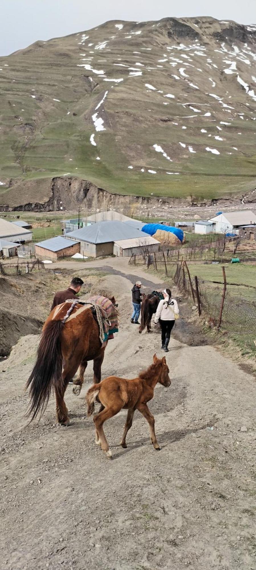Xinaliq Elnur Guest House, New Hotel Екстериор снимка