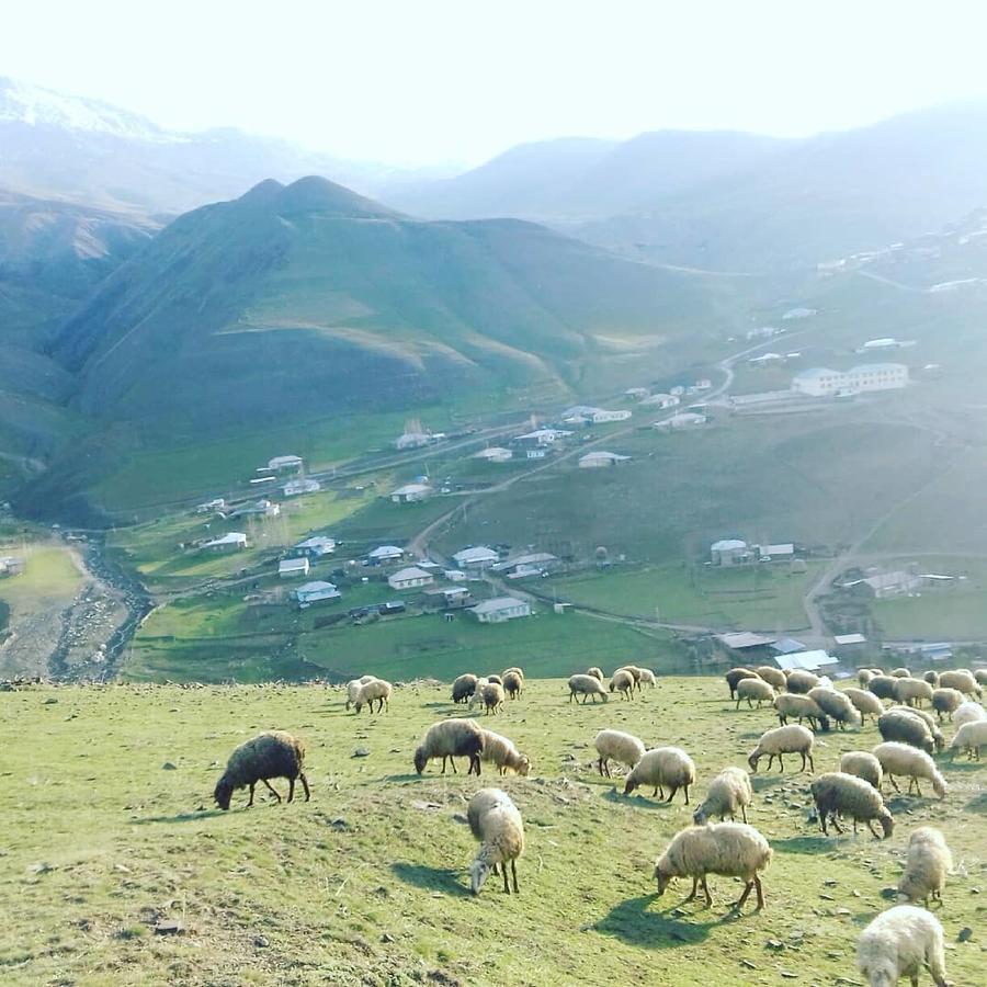 Xinaliq Elnur Guest House, New Hotel Екстериор снимка